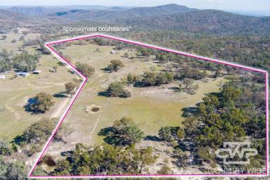 Lifestyle For Sale - NSW - Emmaville - 2371 - 40 Acres with Building Entitlement  (Image 2)