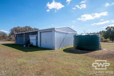 Lifestyle For Sale - NSW - Emmaville - 2371 - 40 Acres with Building Entitlement  (Image 2)
