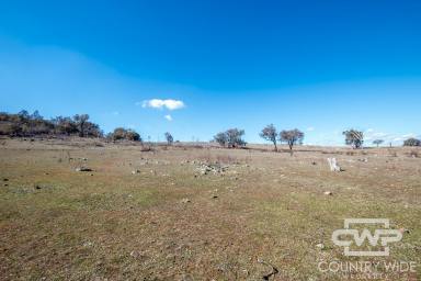 Lifestyle For Sale - NSW - Emmaville - 2371 - Affordable Rural Living with a Building Entitlement  (Image 2)