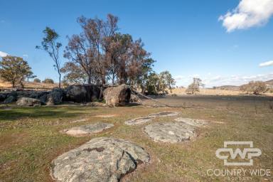 Lifestyle For Sale - NSW - Emmaville - 2371 - Affordable Rural Living with a Building Entitlement  (Image 2)