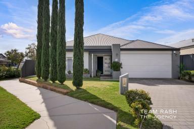 House For Sale - WA - Banksia Grove - 6031 - ELEGANT LOW-MAINTENANCE LIVING WITH VERSATILE SPACE  (Image 2)
