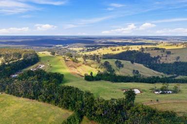 Livestock For Sale - VIC - Won Wron - 3971 - VERSATILE GRAZING PROPERTY WITHIN HIGH RAINFALL REGION  (Image 2)