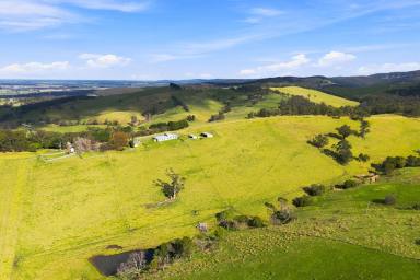 Livestock For Sale - VIC - Won Wron - 3971 - VERSATILE GRAZING PROPERTY WITHIN HIGH RAINFALL REGION  (Image 2)