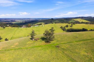 Livestock For Sale - VIC - Won Wron - 3971 - VERSATILE GRAZING PROPERTY WITHIN HIGH RAINFALL REGION  (Image 2)