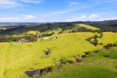 Livestock For Sale - VIC - Won Wron - 3971 - VERSATILE GRAZING PROPERTY WITHIN HIGH RAINFALL REGION  (Image 2)
