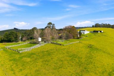 Livestock For Sale - VIC - Won Wron - 3971 - VERSATILE GRAZING PROPERTY WITHIN HIGH RAINFALL REGION  (Image 2)