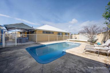 House For Sale - WA - Ridgewood - 6030 - SPACIOUS FAMILY LIVING WITH A POOL & PLENTY OF ROOM TO GROW (Image 2)
