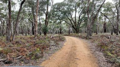 Lifestyle For Sale - VIC - Mount Mercer - 3352 - A Lifestyle Property for the Whole Family (Image 2)