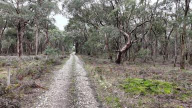 Lifestyle For Sale - VIC - Mount Mercer - 3352 - A Lifestyle Property for the Whole Family (Image 2)