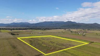 Cropping For Sale - QLD - Lannercost - 4850 - RURAL PROPERTY 20 MINUTES FROM INGHAM!  (Image 2)