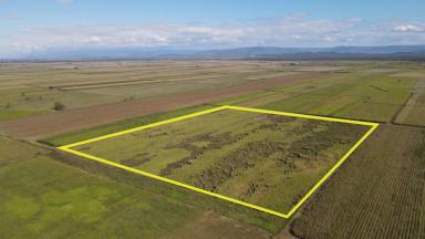 Cropping For Sale - QLD - Lannercost - 4850 - RURAL PROPERTY 20 MINUTES FROM INGHAM!  (Image 2)