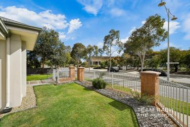 House For Sale - WA - Banksia Grove - 6031 - The Perfect Family Package – Space, Comfort & Convenience  (Image 2)