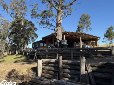 Other (Rural) For Sale - VIC - Briagolong - 3860 - "Woodland Rise"  (Image 2)