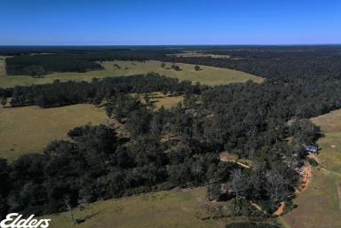 Other (Rural) For Sale - VIC - Briagolong - 3860 - "Woodland Rise"  (Image 2)
