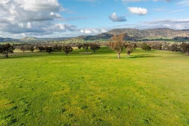 Mixed Farming Auction - NSW - Kyeamba - 2650 - Premium Location. Proven Reliability. (Image 2)