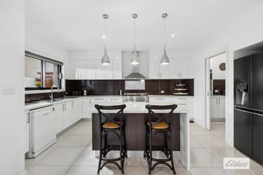 House For Sale - VIC - Bendigo - 3550 - Victorian Elegance Paired with Modern Inner City Living  (Image 2)