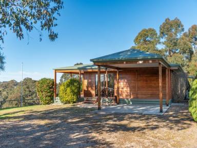 Acreage/Semi-rural For Sale - VIC - Bruthen - 3885 - EMBRACE THE LIFESTYLE IN BEAUTIFUL BRUTHEN  (Image 2)