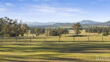 Lifestyle For Sale - NSW - Lower Belford - 2335 - Privacy & Panoramic Hunter Valley Views (Image 2)