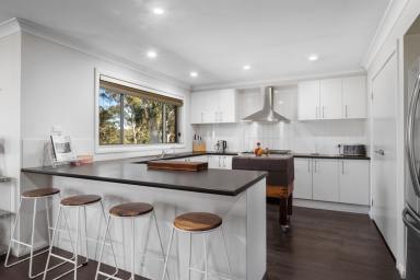 Acreage/Semi-rural For Sale - NSW - Howes Valley - 2330 - The Ultimate Equestrian & Country Retreat | 113 Sprawling Acres (Image 2)