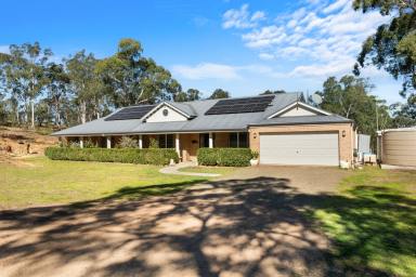 Acreage/Semi-rural For Sale - NSW - Howes Valley - 2330 - The Ultimate Equestrian & Country Retreat | 113 Sprawling Acres (Image 2)