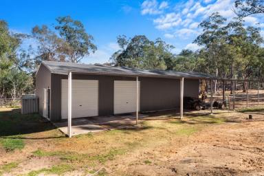 Acreage/Semi-rural For Sale - NSW - Howes Valley - 2330 - The Ultimate Equestrian & Country Retreat | 115 Sprawling Acres  (Image 2)