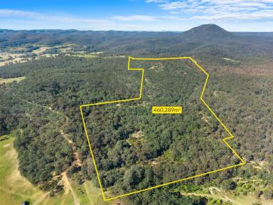 Acreage/Semi-rural For Sale - NSW - Howes Valley - 2330 - The Ultimate Equestrian & Country Retreat | 115 Sprawling Acres  (Image 2)