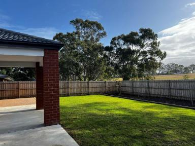 House For Lease - VIC - Eagle Point - 3878 - 15 HOUGHTON CRESCENT, EAGLE POINT  (Image 2)