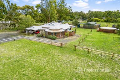 Lifestyle For Sale - WA - North Boyanup - 6237 - Rosecliff Estate Beauty  (Image 2)