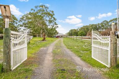 Lifestyle For Sale - WA - North Boyanup - 6237 - Rosecliff Estate Beauty  (Image 2)