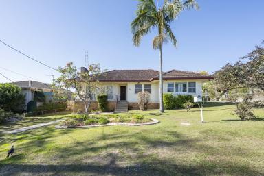 House For Sale - NSW - South Grafton - 2460 - 1486 SQM FLOOD FREE LOT - MASSIVE 1960'S ERA HOME  (Image 2)