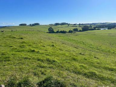 Acreage/Semi-rural For Sale - TAS - Mount Hicks - 7325 - Quality cropping/grazing farm  (Image 2)