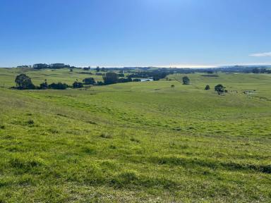 Acreage/Semi-rural For Sale - TAS - Mount Hicks - 7325 - Quality cropping/grazing farm  (Image 2)