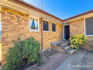 House For Lease - NSW - Tamworth - 2340 - 3 Bedroom House - West Tamworth (Image 2)