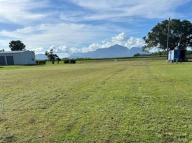 Residential Block For Sale - QLD - Halifax - 4850 - RIVERDOWNS ESTATE - buy in this larger block estate ! (Image 2)