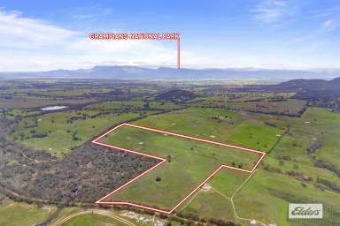 Other (Rural) For Sale - VIC - Great Western - 3374 - Versatile 150-Acre Holding with Exceptional Lifestyle & Agricultural Appeal (Image 2)