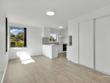 House For Lease - TAS - East Devonport - 7310 - Updated Home, Fresh and Practical  (Image 2)