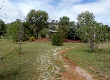 House For Lease - NSW - Kootingal - 2352 - Family Home on 5 Acres  (Image 2)