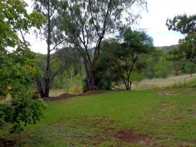 House For Lease - NSW - Kootingal - 2352 - Family Home on 5 Acres  (Image 2)