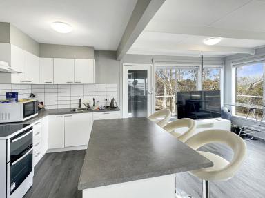 House For Lease - NSW - Anglers Reach - 2629 - 69 Illawong Road, Anglers Reach (Image 2)