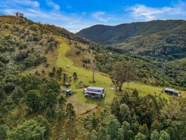 Lifestyle For Sale - NSW - Singleton - 2330 - On Top of the World -Carrowbrook Mountain Acreage with Lake St Clair Views  (Image 2)