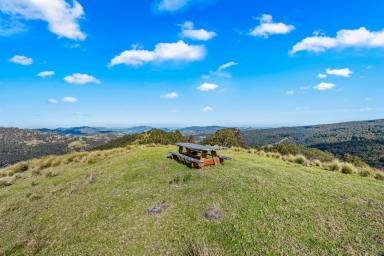 Lifestyle For Sale - NSW - Singleton - 2330 - On Top of the World -Carrowbrook Mountain Acreage with Lake St Clair Views  (Image 2)