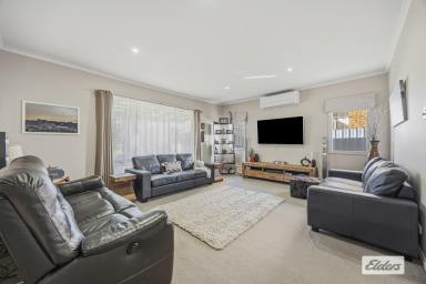 House For Sale - VIC - Stawell - 3380 - Spacious Four Bedroom Family Home with Exceptional Shedding  (Image 2)