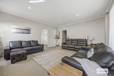 House For Sale - VIC - Stawell - 3380 - Spacious Four Bedroom Family Home with Exceptional Shedding  (Image 2)
