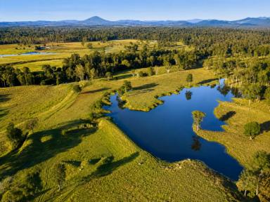 Mixed Farming For Sale - QLD - Glen Echo - 4570 - 'Rosehill" 240 Acre Water-Secure Intensive Cattle & Fodder Enterprise Glen Echo Gympie Region Queensland - Family Owned since 1958.  (Image 2)