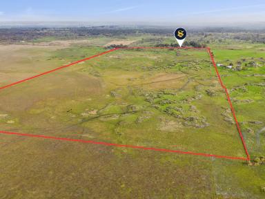 Livestock For Sale - VIC - Pirron Yallock - 3249 - LIFESTYLE LIVING WITH INCOME POTENTIAL  (Image 2)