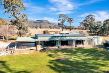 Lifestyle For Sale - NSW - Rylstone - 2849 - Peaceful Country Living with Separate Guest Cottage (Image 2)