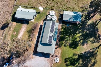 Lifestyle For Sale - NSW - Rylstone - 2849 - Peaceful Country Living with Separate Guest Cottage (Image 2)