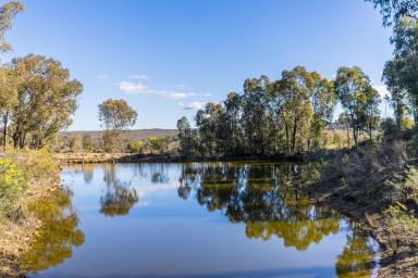 Lifestyle For Sale - NSW - Mudgee - 2850 - YOUR PRIVATE RURAL ESCAPE AWAITS  (Image 2)