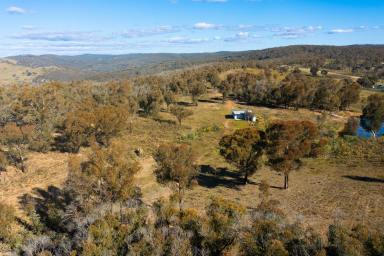 Lifestyle For Sale - NSW - Mudgee - 2850 - YOUR PRIVATE RURAL ESCAPE AWAITS  (Image 2)