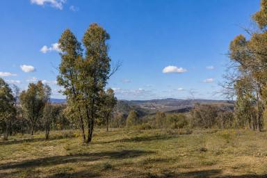 Lifestyle For Sale - NSW - Mudgee - 2850 - YOUR PRIVATE RURAL ESCAPE AWAITS  (Image 2)